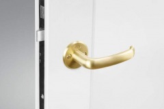 Doors handle gold